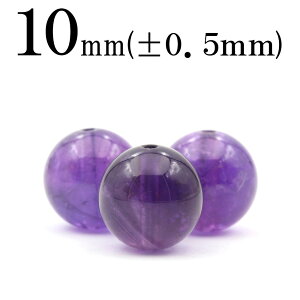 ySizN[|+P20zt812 y1zVR4A AWXgij 10mmۋ ۃr[Y 10041088p[Xg[ o VR  j fB[X Y