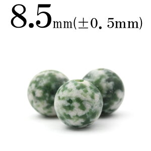 ySALE/70%OFFN[|zt114 y1z\[VCg 8mmۋ ۃr[Y 10069160p[Xg[ o VR  j fB[X Y