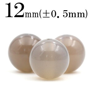 yX[p[SALE/50%OFFzt2555 y1zO[AQ[g(D) 12mmۋ ۃr[Y 10061728p[Xg[ o VR  j fB[X Y