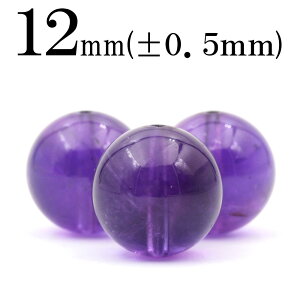 ySizN[|+P20zt237 y1zVR5A AWXgij 12mmۋ ۃr[Y 10056123p[Xg[ o VR  j fB[X Y