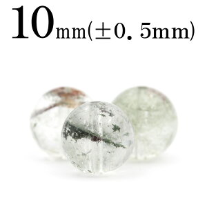 t496 ySzy1zK[fNH[c뉀At@gNH[cj 10mmۋ ۃr[Y 10069693p[Xg[ o VR  j fB[X Y