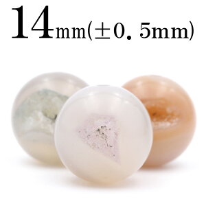 ySALE/55%OFFN[|Lzt1989 y1zgW[mEihD[W[j 14mmۋ ۃr[Y 10049348p[Xg[ o VR  j fB[X Y
