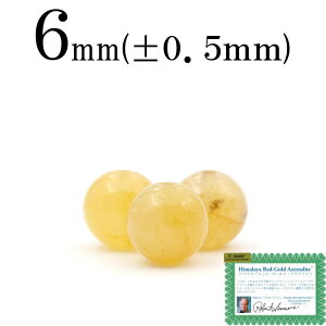 yX[p[SALE/50%OFFzt1377 y1zH&EKi q}Y bh S[hA[cCg 6mmۋ ۃr[Y 10060372p[Xg[ o VR  j fB[X Y