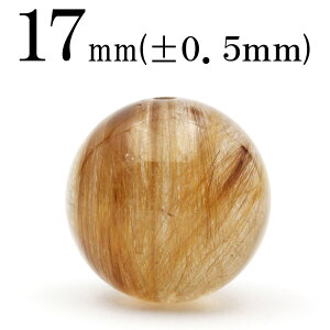 tr24 1_̃r[Y y1zi4A uYuE`NH[cijj 17mmۋ ۃr[YVR p[Xg[ LL qJ VR  j fB[