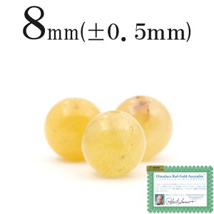 ySALE/70%OFFN[|zt1476 y1zH&EKi q}Y bh S[hA[cCg 8mmۋ ۃr[Y 10060373p[Xg[ o VR  j fB[X Y