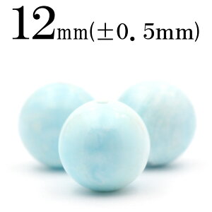 yX[p[SALE/50%OFFzt2530 y1z5A u[ASiCgiŐ΁j 12mmۋ ۃr[Y 10061488p[Xg[ o VR  j fB[X Y