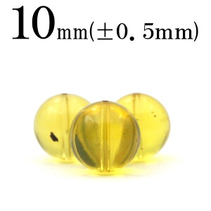 yubNtCf[SALEzt873 y1z5A VRu[Ao[ 10mmۋ ۃr[Y 10057335p[Xg[ o VR  j fB[X Y