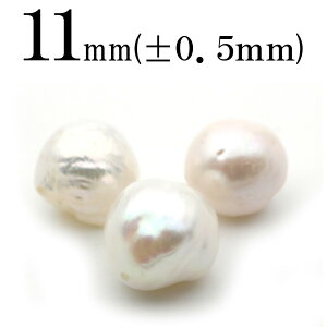 yLuckyZ[JÁzt664 y1z^iWp[j 10mmۋ ۃr[Y obN^ 10060575p[Xg[ o VR  j fB[X Y