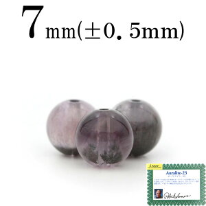 ySizN[|+P20zt2581 y1zH&EKi I[Cg23 7mmۋ ۃr[Y 10061841p[Xg[ o VR  j fB[X Y