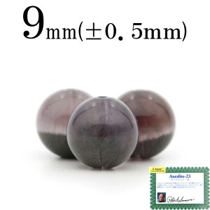 ySizN[|+P20zt2583 ySzy1zH&EKi I[Cg23 9mmۋ ۃr[Y 10061843p[Xg[ o VR  j fB[X Y