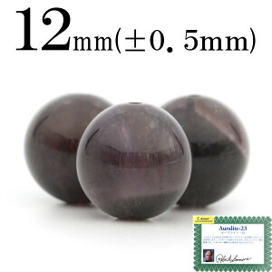 ySizN[|+P20zt2586 y1zH&EKi I[Cg23 12mmۋ ۃr[Y 10061846p[Xg[ o VR  j fB[X Y