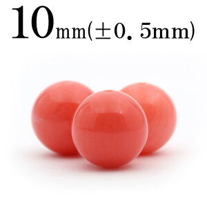 yubNtCf[SALEzt350 y1zsNR[iXATSj 10mmۋ ۃr[Y 10036414p[Xg[ o VR  j fB[X Y