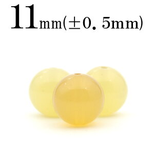 yLuckyZ[JÁzt975 ySzy1zCG[Ip[ 11mmۋ ۃr[Y 10068589p[Xg[ o VR  j fB[X Y