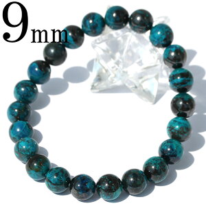 yX[p[SALE/50%OFFzk51 AEgbgAJY N\R 9mm ʐ^i1_ uXbg  j fB[X Y yMtgΏہz