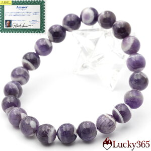 yLuckyZ[JÁzyؖtzH&EKi A}[c 9mmuXbg 10070039VR p[Xg[  j fB[X Y yMtgΏہz