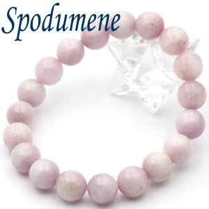 yubNtCf[SALEzk23 AEgbgX|W~iNc@Cgj 10.5mmuXbgVR p[Xg[  j fB[X Y yMtgΏہz