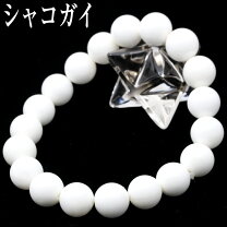 楽天市場】シャコ貝 ブレスレットの通販