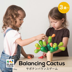 ybsOzPLAN TOYS vgC T{eoXQ[ mߋ wKߋ oXQ[ T{e ؐ ؂̂ oYj Mtg v[g a 킢 q j̎q 