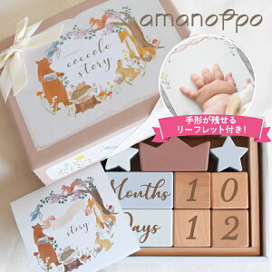 ybsOzamanoppo ܂̂ Ajo[T[݂ coccole story RbRXg[[ RR[ mߋ wKߋ ؂̂ ubN ςݖ }^jeBtHg J_[ o