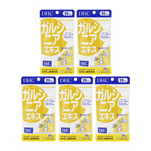 [5Zbg]DHC fB[GC`V[ KVjAGLX 20 100 h{⏕Hi Tvg NHi _CGbg KVjAGLX[MtgbsOΉ]