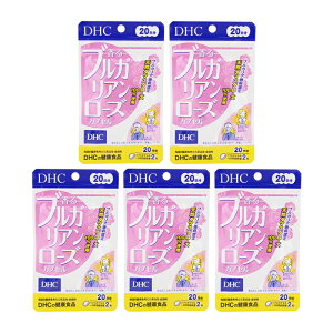 [5Zbg]DHC fB[GC`V[ uKA[YJvZ 20 40 h{⏕Hi Tvg NHi [YIC[MtgbsOΉ]