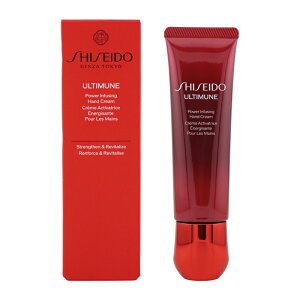  SHISEIDO AeB~[ pCWO nhN[ 50g O[t[̍[MtgbsOΉ]