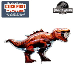 KXȂ WVbN@WVbN[h@@o[Xf[ v[g o[ TvCY Mtg p[eB[@Birthday Balloon Party D a a j  