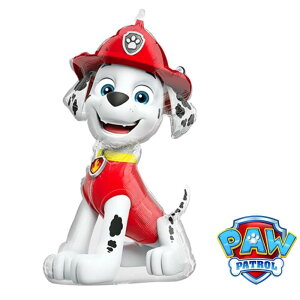 pEpg[@}[V@pEpg o[o[Xf[ v[g@ׂĂ͂ TvCY Mtg p[eB[ Birthday Balloon Party D a a j@N@j@