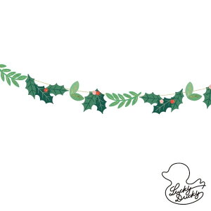 PartyDeco@y[p[oi[ @NX}Xoi[@ h؃K[h@A@fBXvC TvCY Mtg p[eB[ Banner Party 킢@Cxg@@NX}X@NX}Xp[eB