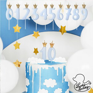 PartyDeco rbN@io[Lh NEio[Lh@pXeu[@ P[L@낤@t@N@o[Xf[ p[eB[ Birthday Party aj  a