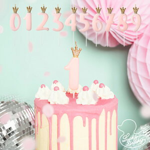 PartyDeco rbN@io[Lh NEio[Lh@pXesN@ P[L@낤@t@N@o[Xf[ p[eB[ Birthday Party aj  a