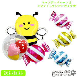 ݂΂ IׂLfB v[g o[Xf[ o[ bee TvCY Mtg ׂĂ͂ p[eB[ Birthday Balloon Party D a a j oYj