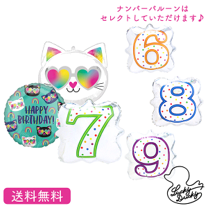 猫 キャット バースデー プレゼント バルーン 誕生日 アニマル インサイダーバルーン サプライズ ギフト パーティー 風船 誕生日 誕生会 お祝い 選べる ナンバーバルーン