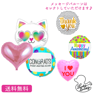 猫 キャット バースデー プレゼント バルーン 誕生日 アニマル インサイダーバルーン サプライズ ギフト パーティー 風船 誕生日 誕生会 お祝い 選べる メッセージバルーン 入学 入園