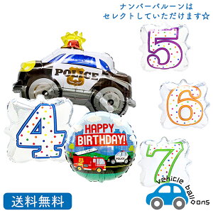 pgJ[ hԁ@ 蕨 @o[Xf[yz o[ a j Mtg p[eB Birthday Balloon Party@ D  y@@t@@io[