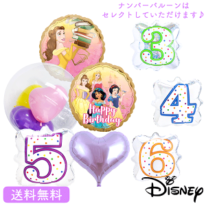 x Ɩb vZX princess o[Xf[ v[g o[ aMtg p[eB[ D a a j fBYj[ Iׂ io[o[ fBYj[vZX