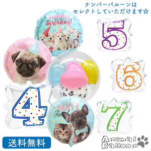 犬 おもちゃ セット ホビーの人気商品 通販 価格比較 価格 Com 犬 おもちゃ セット ホビーの人気商品 通販 価格比較 価格 Com