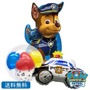 pEpg[ pEpg@`FCX CTC_[o[ pgJ[ o[Xf[ p[eB[@j@a@TvCY@v[g