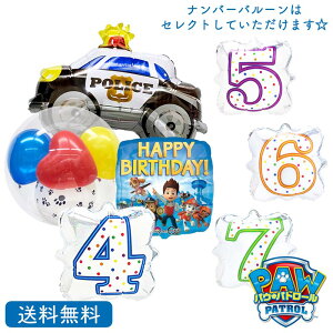 pEpg[ pEpg pgJ[  蕨yz o[ a j LN^[ Mtg p[eB Birthday Balloon Party@ D  y CTC_[ io[