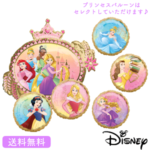 fBYj[o[Xf[ v[g o[ TvCY Mtg p[eB[ Birthday Balloon Party D a a j fBYj[ vZX princess disney XA|A^C o[