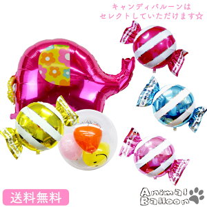 v[g o[Xf[ o[ Aj} TvCY Mtg ׂĂ͂ p[eB[ Birthday Balloon Party D a a j sN Gt@g LfB oYj
