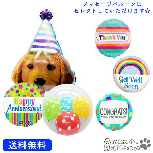 犬 おもちゃ セット ホビーの人気商品 通販 価格比較 価格 Com 犬 おもちゃ セット ホビーの人気商品 通販 価格比較 価格 Com