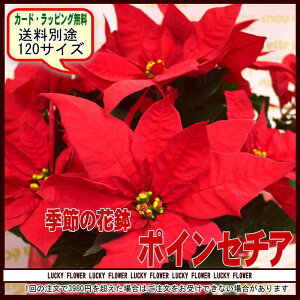 y~zyvwzyΕzyNX}Xz׃|CZ`ẢԔy120zyyΉ_֓zysmtb-TDzysaitamazyyMt_zNX}XEaELOEEVzEz