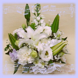 楽天市場 トルコキキョウ 値段の通販