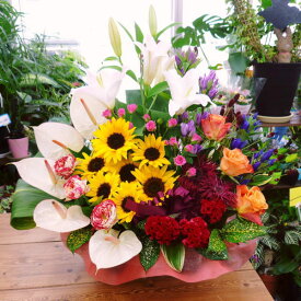 楽天市場 お歳暮 花 ガーデン Diy の通販