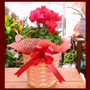 VNĕtBԁEsNFByHzyΕzyvwzyNX}Xzy100TCYzy~zyvwzNX}X@aj v[g \ Vzj LO 