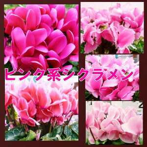 y~zyvwzyΕzyNX}XzVNsNn6Byzysmtb-TDzysaitamazyyMt_zy~z aj v[g \ Vzj LO 