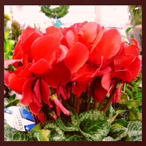 VNԌn6Byzysmtb-TDzysaitamazyyMt_zyMt_zy~zy~zyvwzyΕzyNX}Xz@aj v[g \ Vzj 