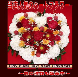 yo^CzyMIXz×MIXJ[̃n[gAWIyzyyz