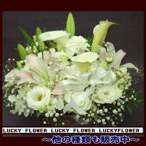 yyzX߁I@mԃAWyzzCgnyyΉ_֓zyasubon2010zysmtb-TDzysaitamazyyMt_zy݁E䋟z